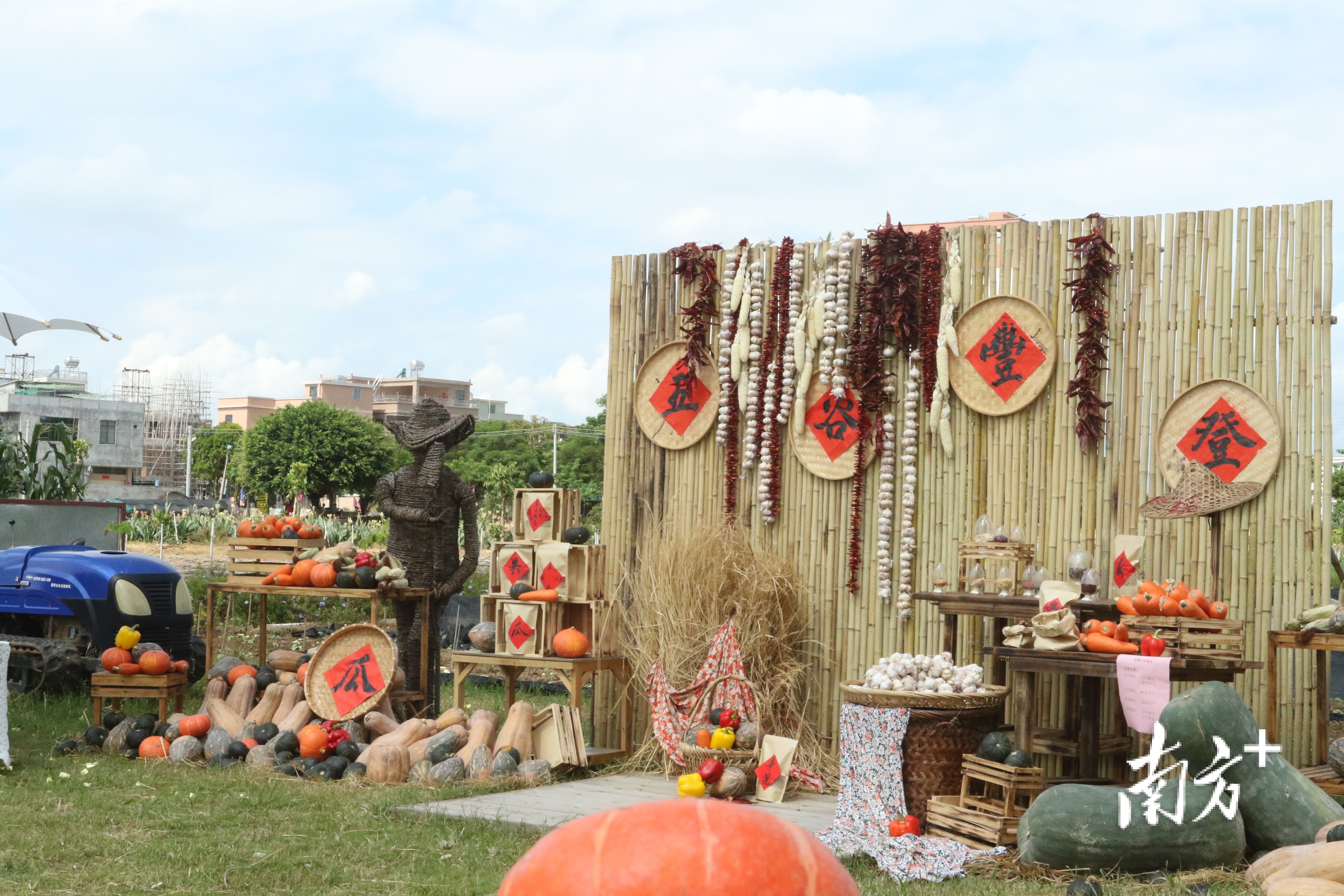 活动现场。陈树洁 摄