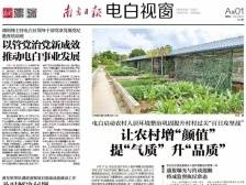 村村过关“百日攻坚战”打响​|速览《南方日报·电白视窗》46期