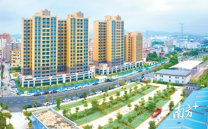 虎门镇推进停车精细化管理，使群众的停车感受得到了较大改善  通讯员/受访者 虎宣 供图