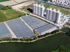 Vlog|乡村振兴党引领①东华：乡村振兴示范村的蝶变镜像