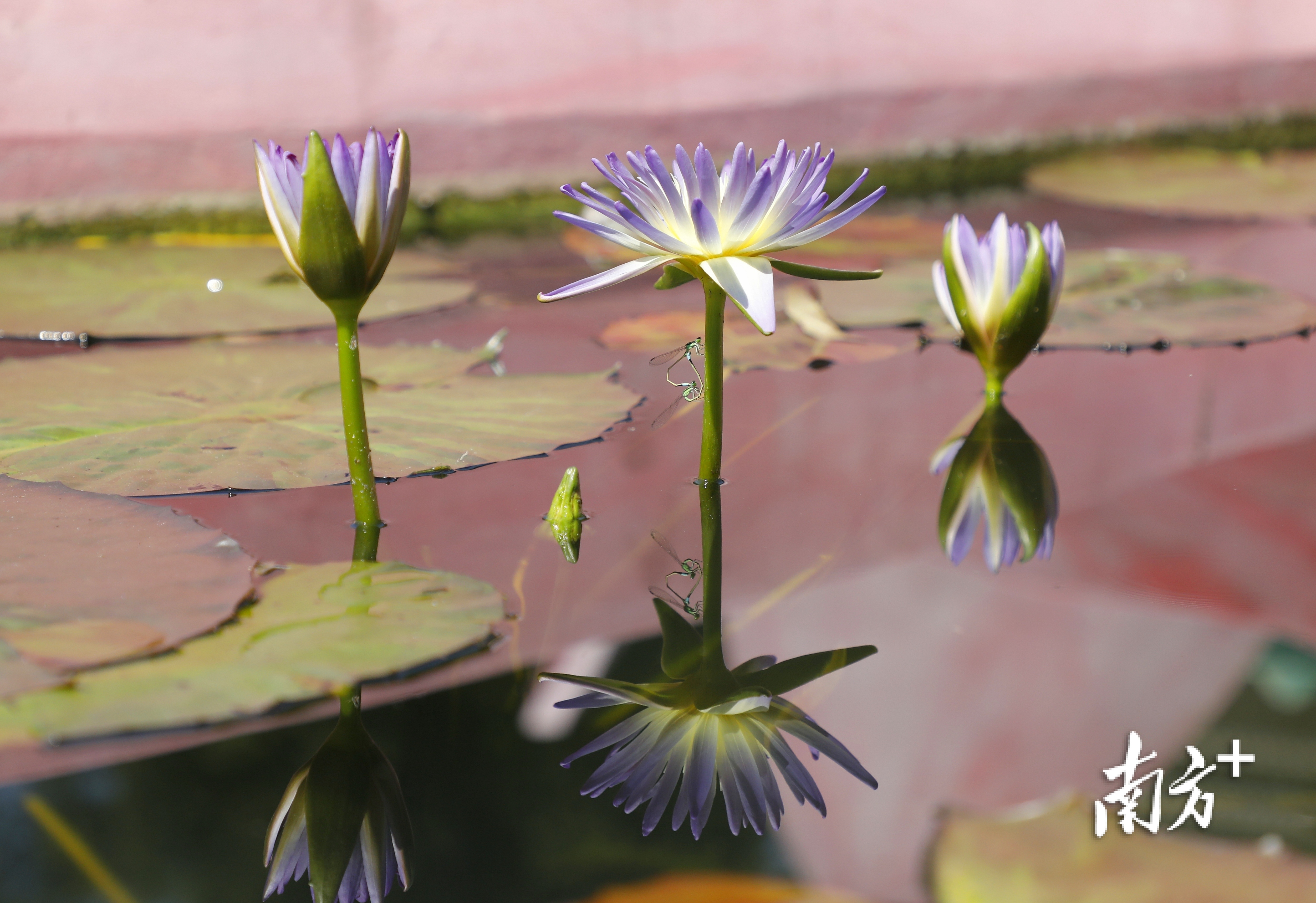    南方+ 吴伟洪 拍摄