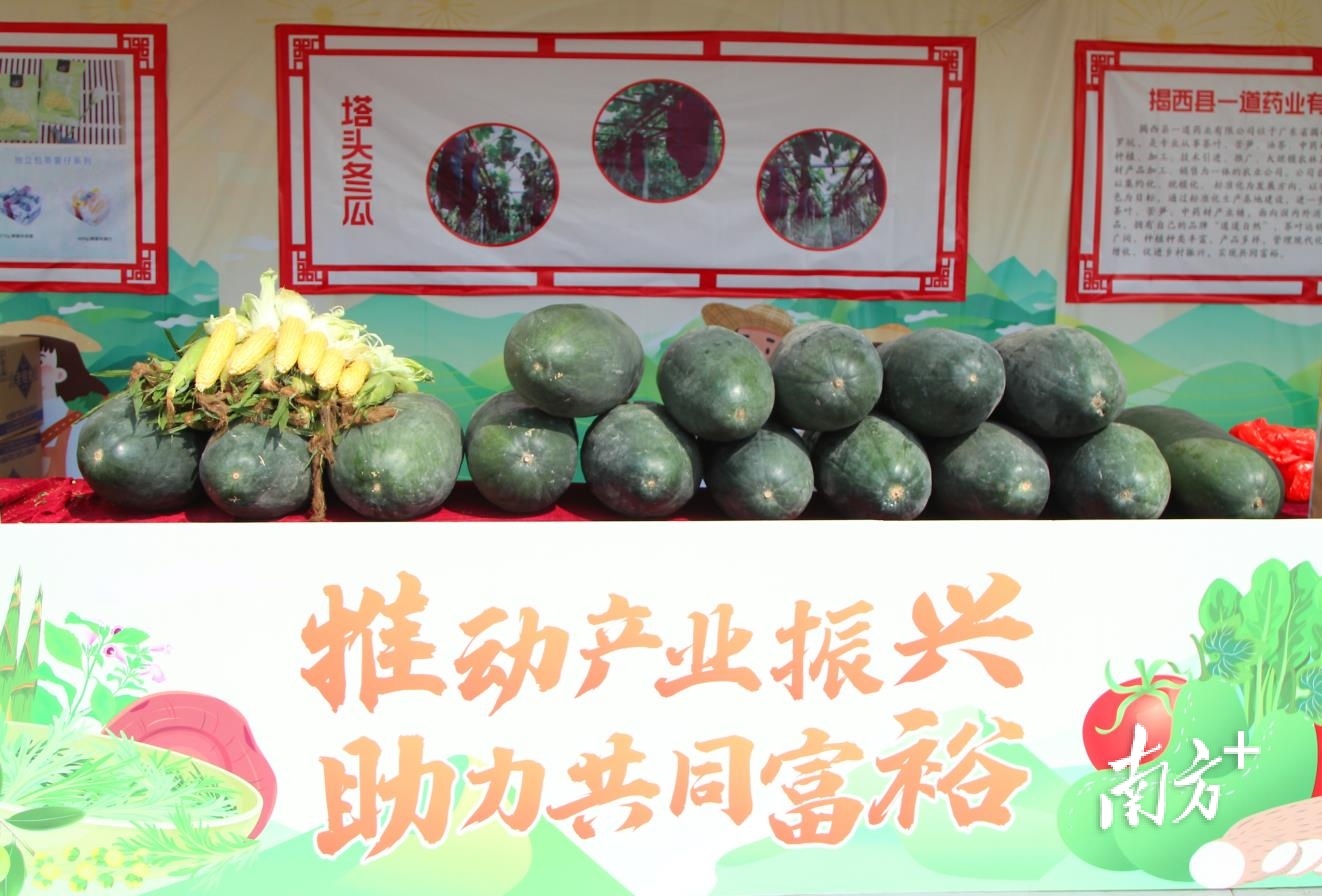 启动仪式现场  南方+ 林捷勇 拍摄