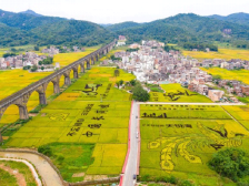 投票近8000万！第三届广东十大美丽乡村系列活动网络票选结果出炉