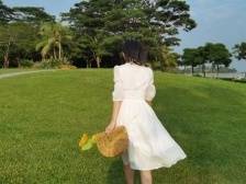 投票｜深圳公园服务“上新”！国庆游玩你想pick谁？