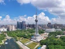 佛山市副市长乔羽：到上海推介是成果展示，更是学习取经