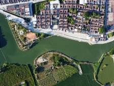 Vlog|乡村振兴党引领②大寮：“党建+”与“嵌瓷之乡”同频共振