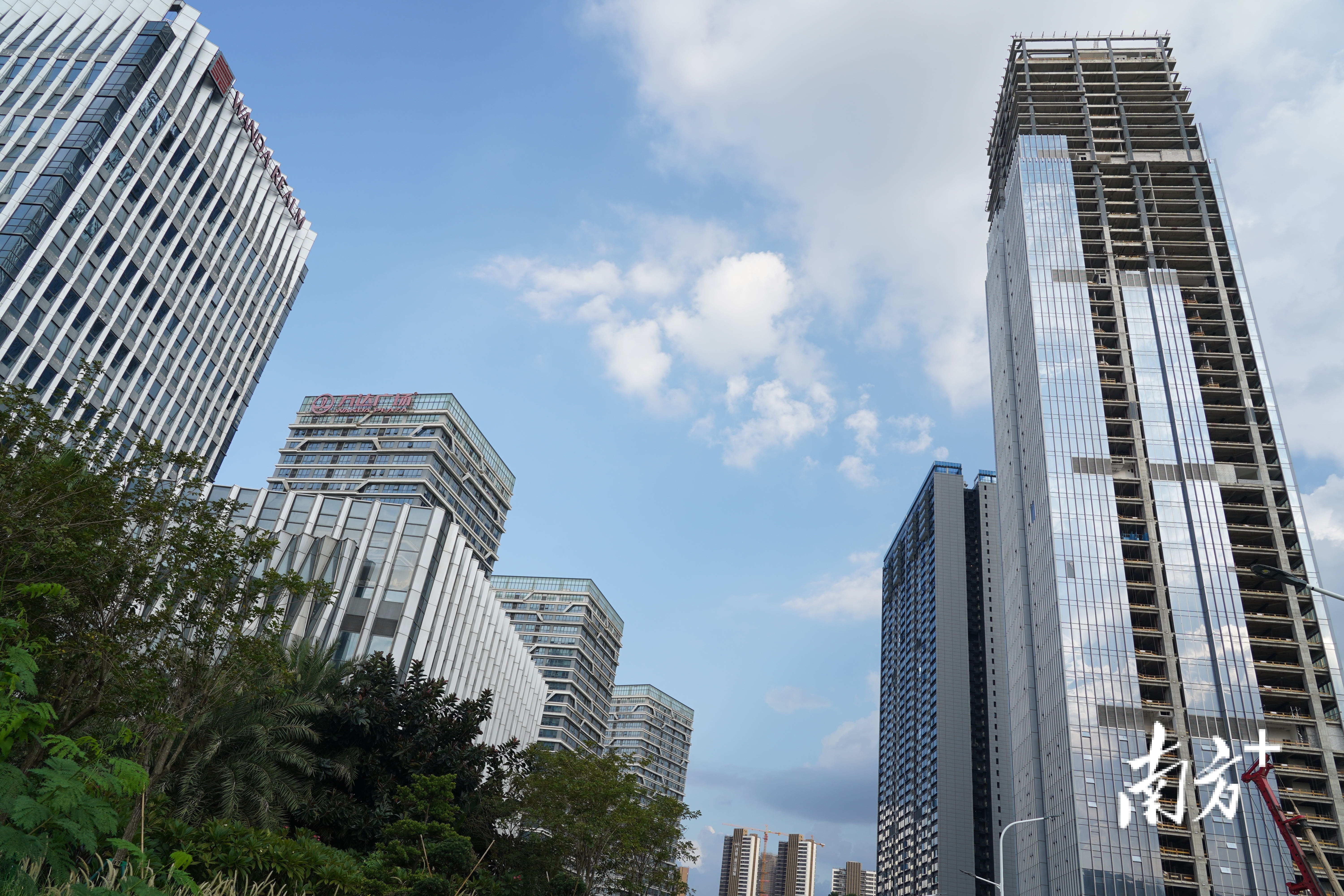 图 南方+ 朱伟良 拍摄