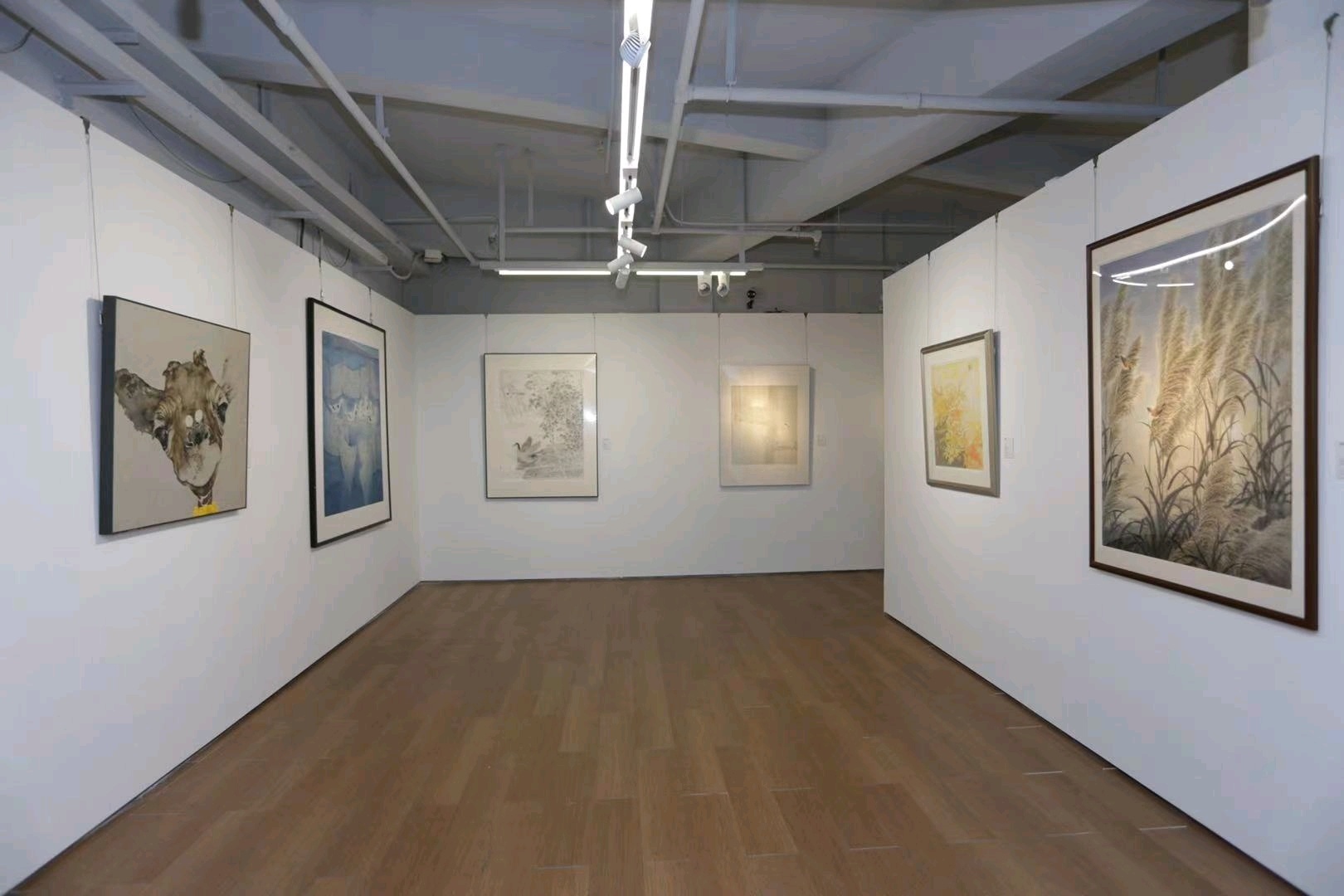 6  南方+ 郭悦 拍摄