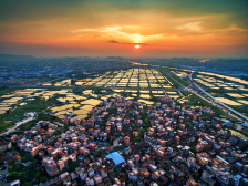 农行顺德分行：提供“融资+融智”服务，金融活水润泽乡村振兴｜佛山城势观察