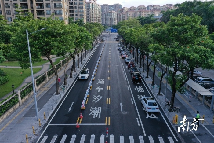禅城区在全市启用首条智慧潮汐车道。 南方+ 戴嘉信 拍摄