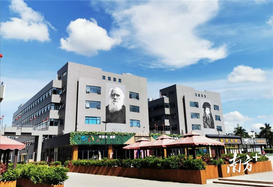 灵狮小镇外墙上的巨幅世界名人像