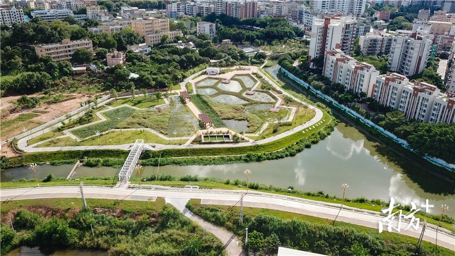 湿地公园在优质产业社区,最引人注目的就是位于花园工业区的谢岗人才