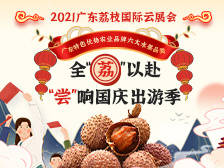 全“荔”以赴,唱响节日促销季