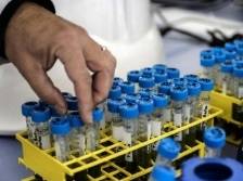 国庆期间，广州218家医疗机构可核酸检测