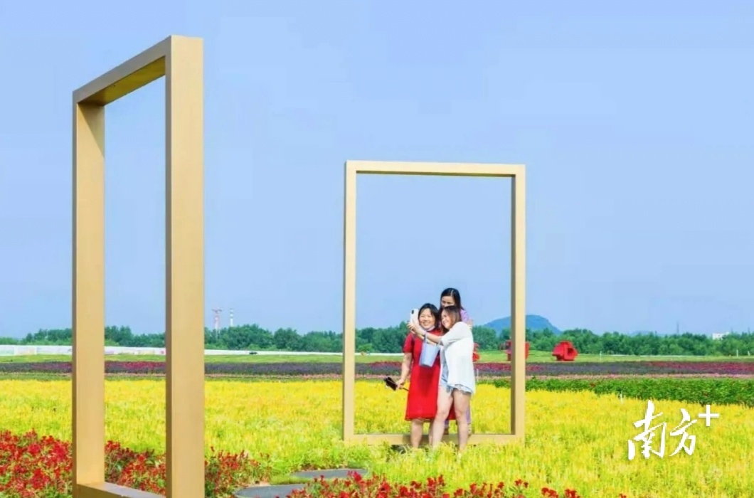 无。  通讯员/受访者 滨海湾宣 供图