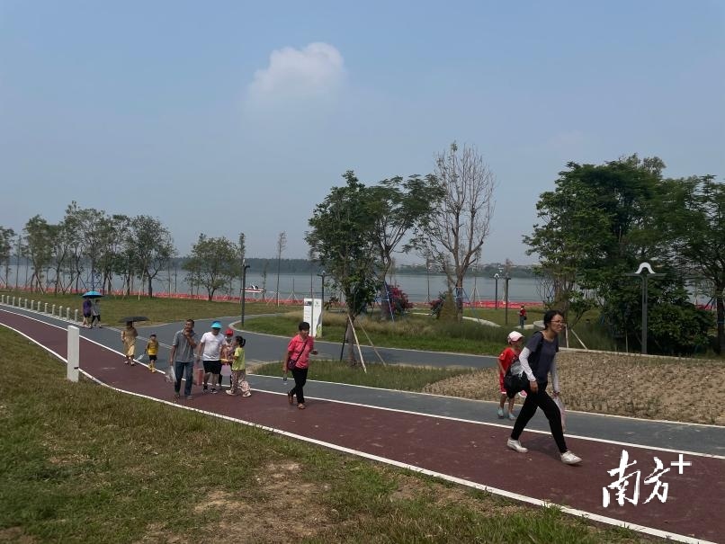 市民徒步在“百里芳华”大道上。