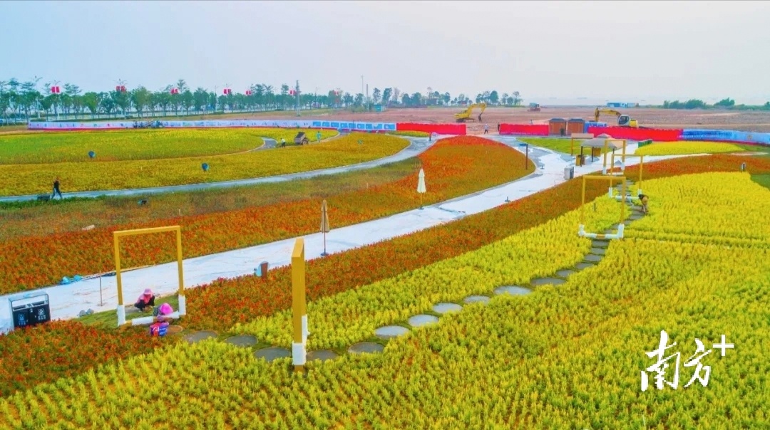 无。  通讯员/受访者 滨海湾宣 供图