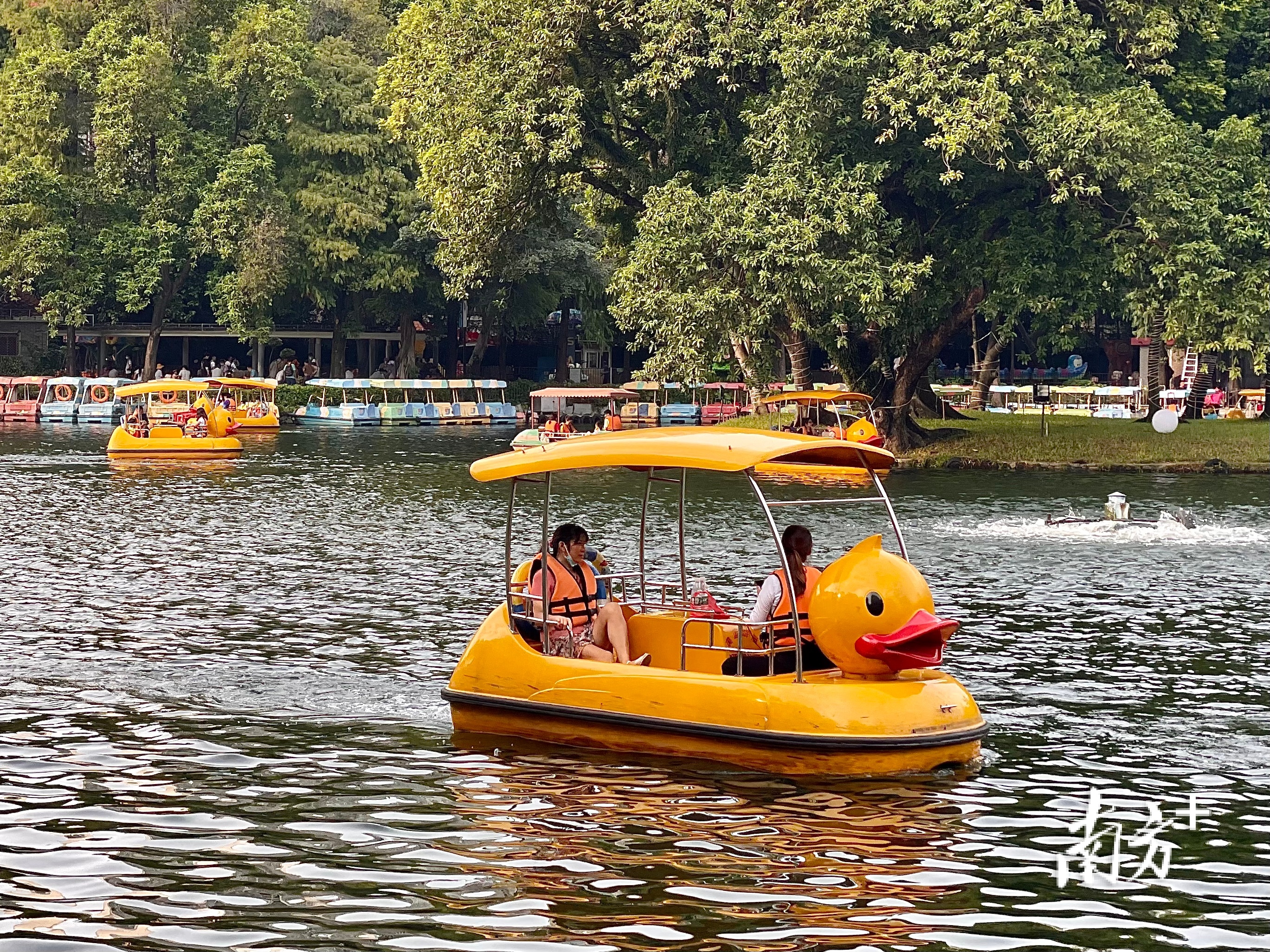 各式各样的游船往来如织,在碧波荡漾的湖面穿梭.