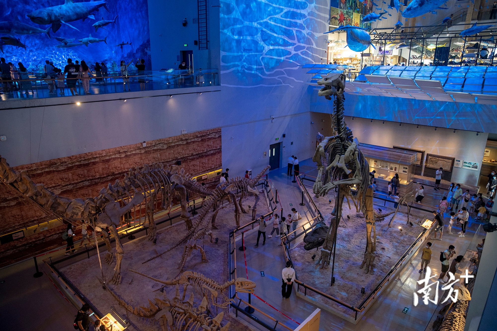 图集|针灸,蔡李佛武术……国庆假期第三天省博物馆热度不减