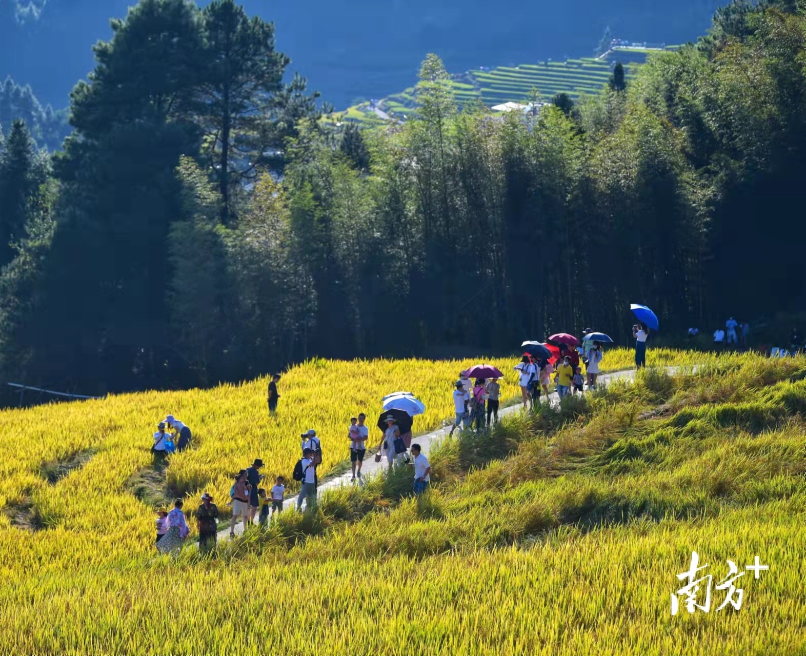 南方+ 肖雄 拍摄