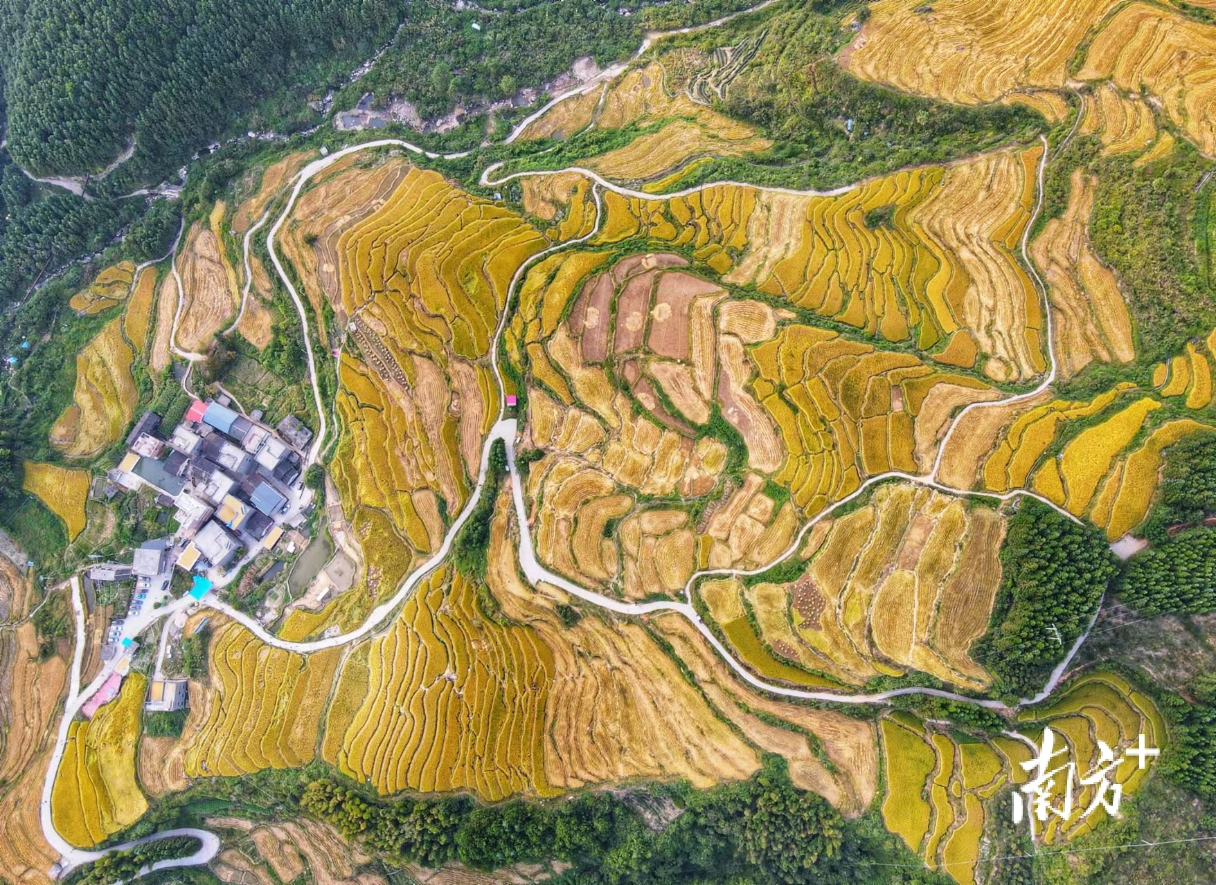 南方+ 肖雄 拍摄