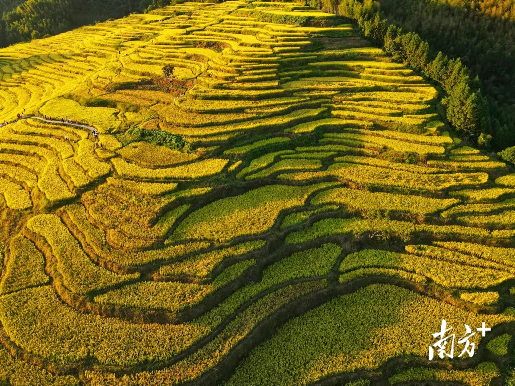 南方+ 肖雄 拍摄