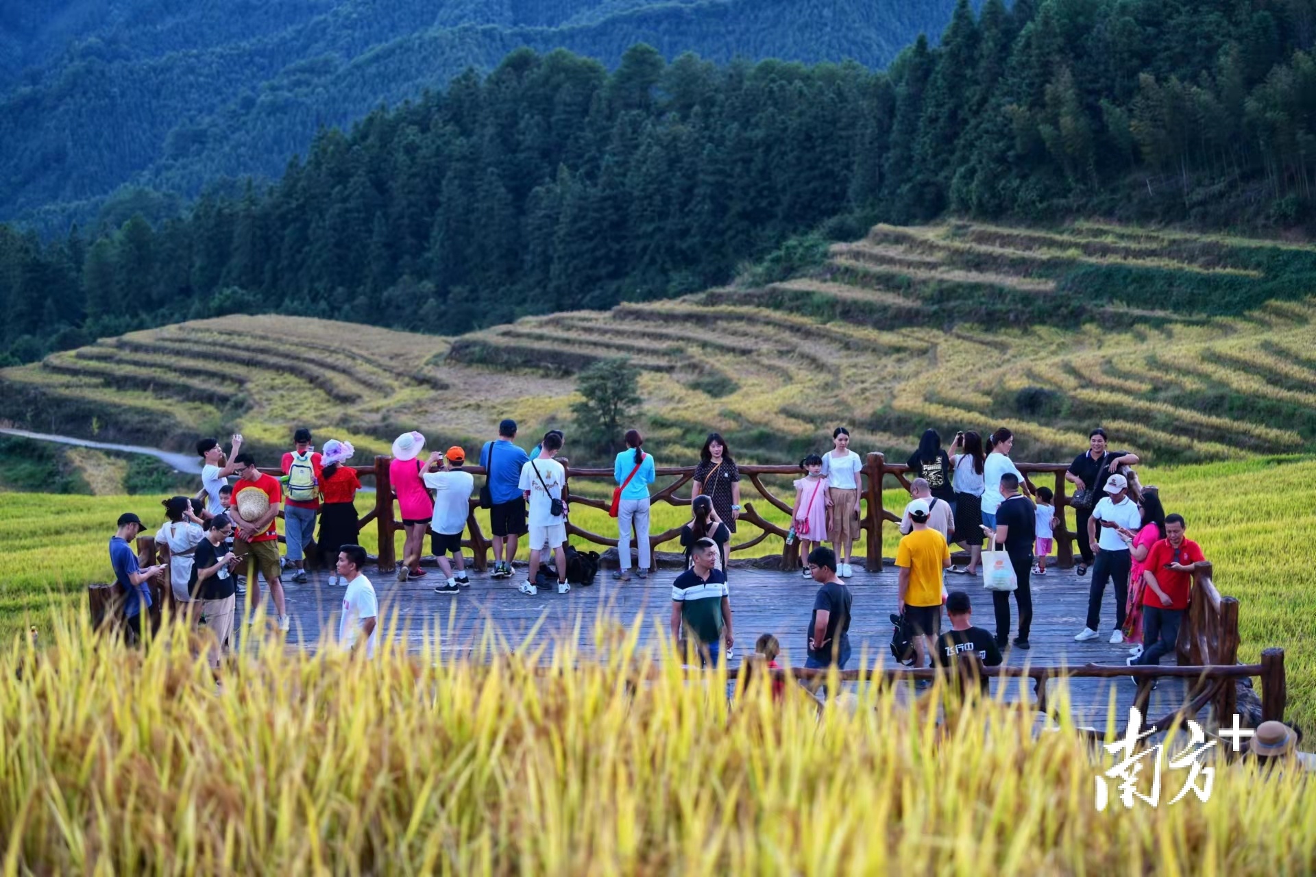 南方+ 肖雄 拍摄