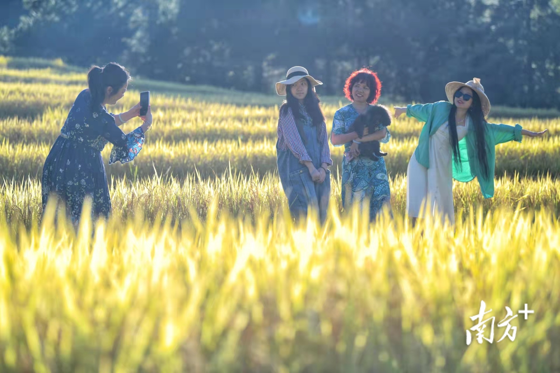 南方+ 肖雄 拍摄