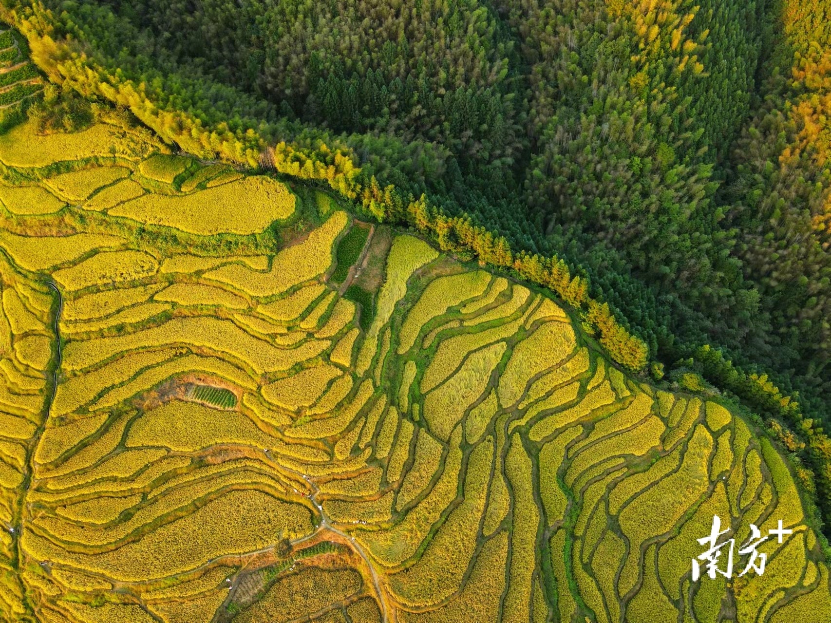 南方+ 肖雄 拍摄