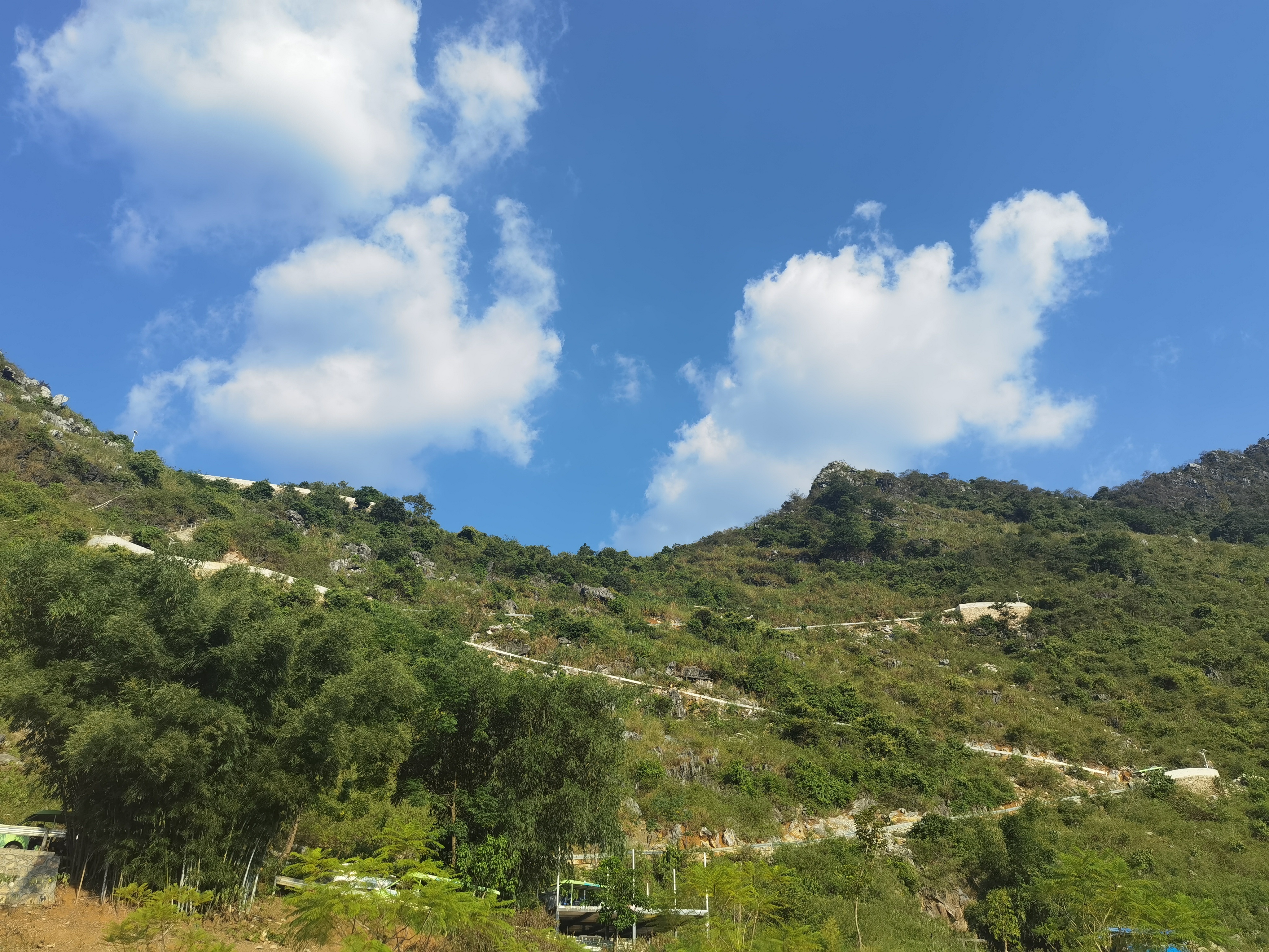 多图抓紧假期的尾巴到怀集寻源谷感受森林康养魅力