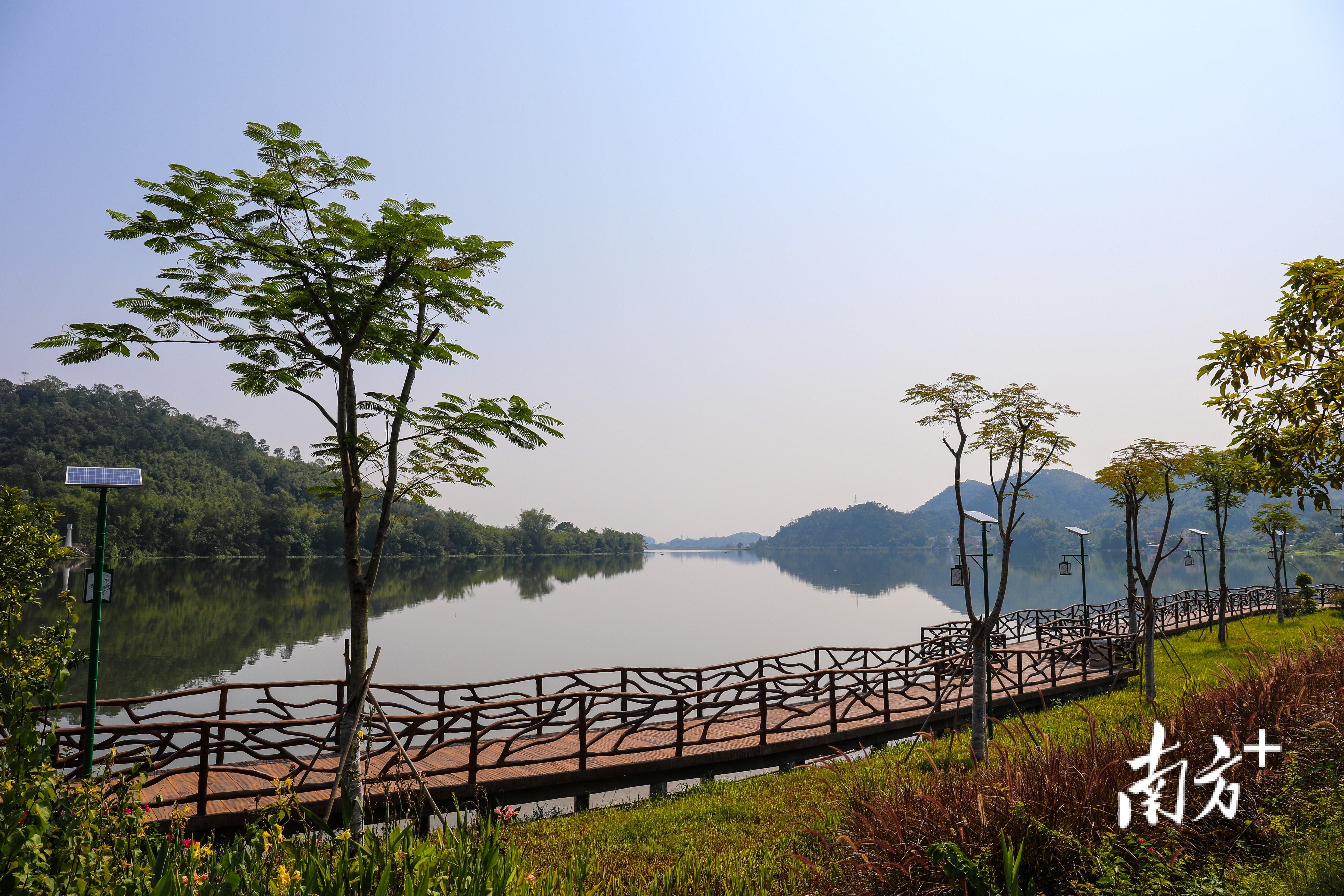 四会古邑碧道。 南方+ 施亮 拍摄