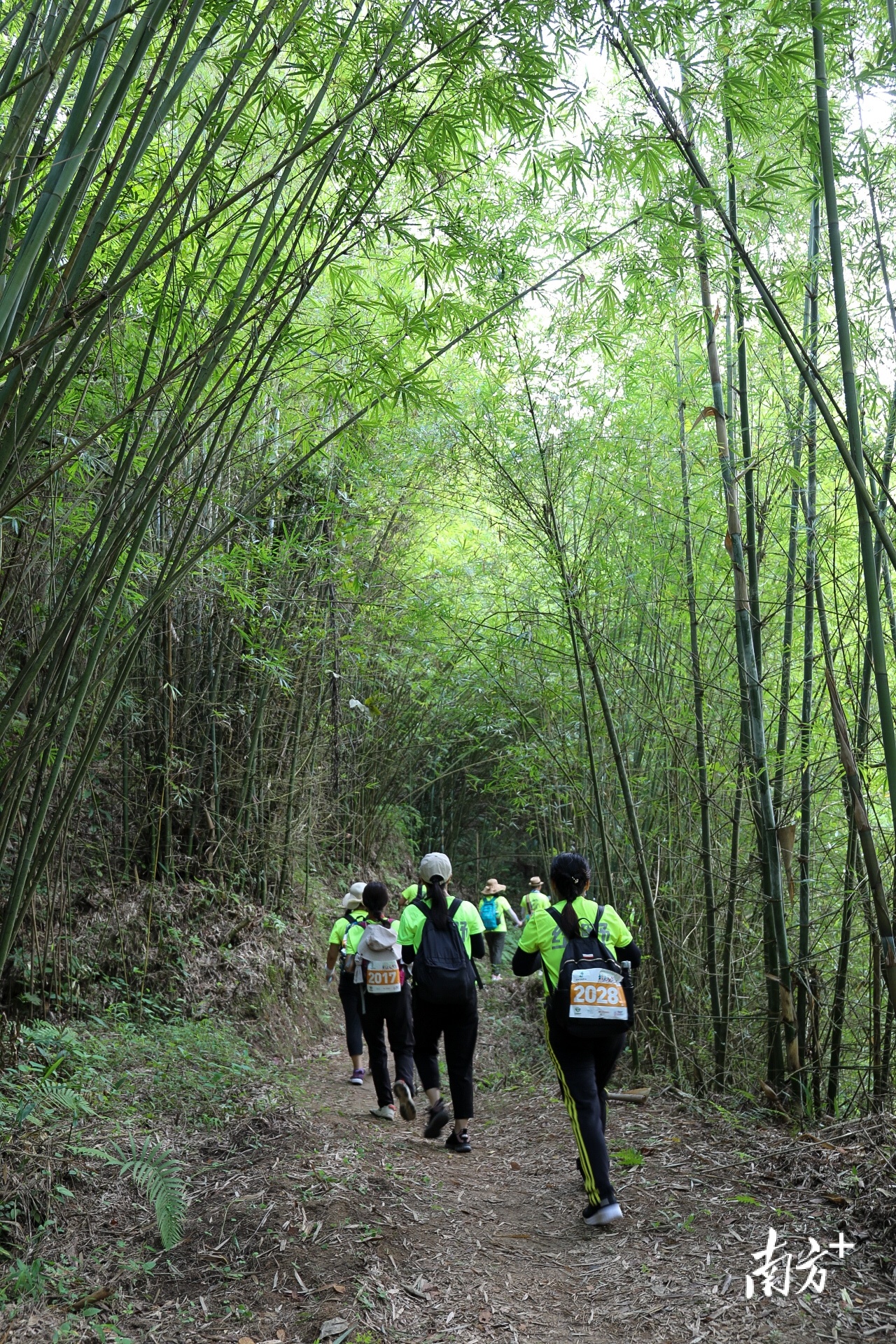 广宁古水河郊野径。 南方+ 施亮 拍摄