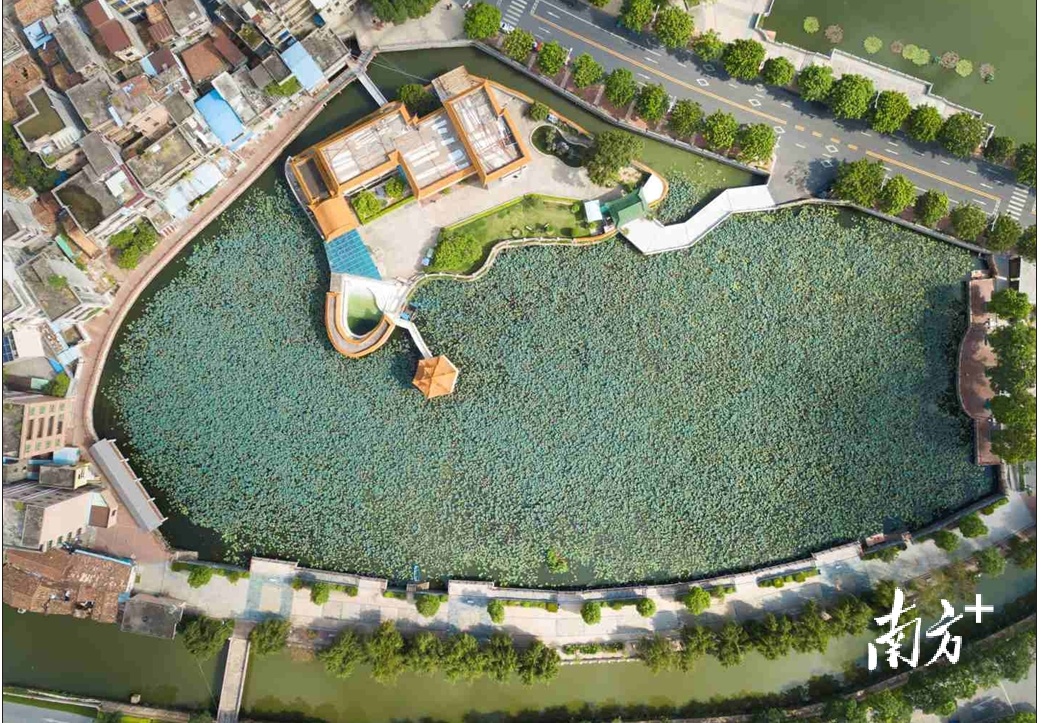 南城街道石鼓社区  通讯员/受访者 通讯员 供图