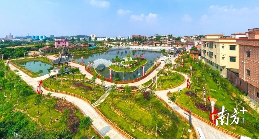 南城街道石鼓社区  通讯员/受访者 通讯员 供图