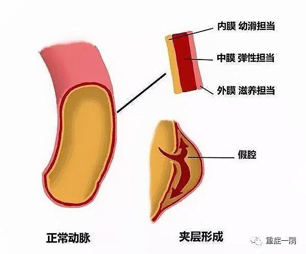 通讯员/受访者 佚名 供图