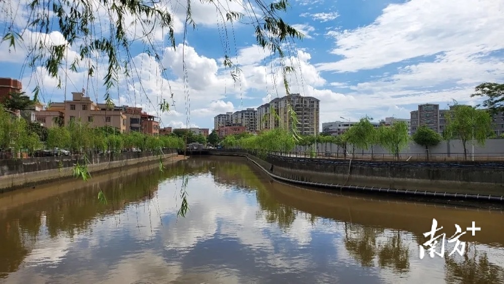 南城街道石鼓社区  通讯员/受访者 通讯员 供图
