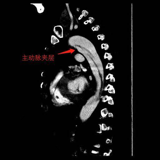 通讯员/受访者 佚名 供图