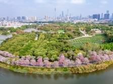 广东开展九大行动，文明创建成效显著