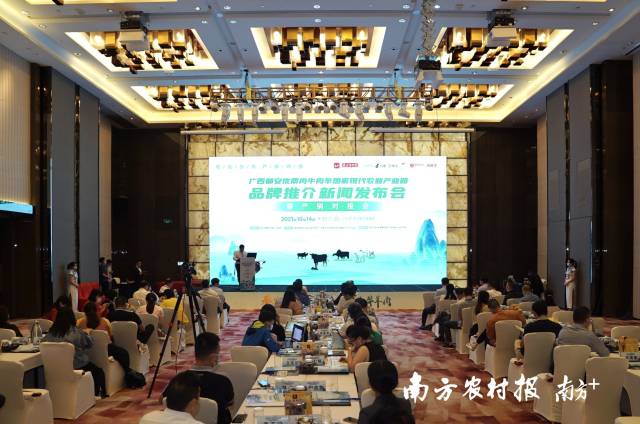 廣西都安優(yōu)質(zhì)肉牛肉羊國家現(xiàn)代農(nóng)業(yè)產(chǎn)業(yè)園品牌推介新聞發(fā)布會暨產(chǎn)銷對接會