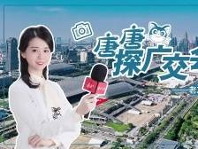 唐唐探广交会：老友记