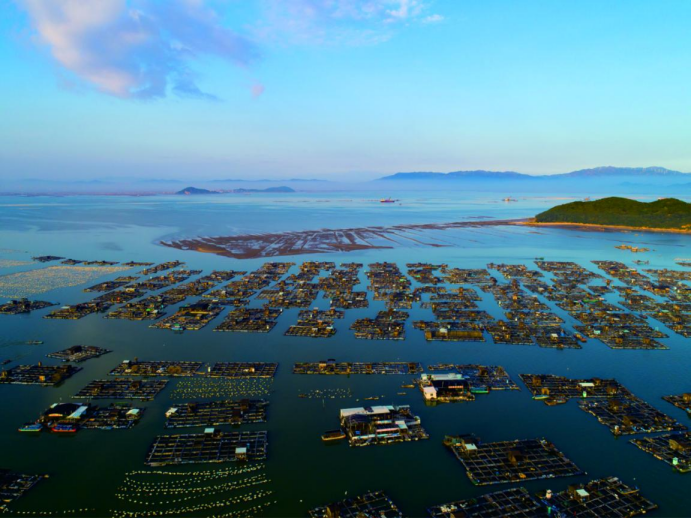 潮州市饶平县水产产业园：靠“海”而兴！探索发力临海大产业