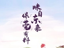 味自東來(lái),，保莞有料,！第六屆食博會(huì)今日開(kāi)幕