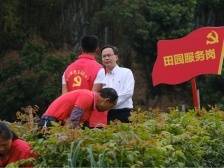 三级“田长”共护耕地|一文速览《南方日报·高州视窗》第32期