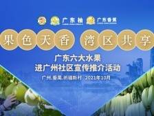 广东特色水果走进祈福新邨