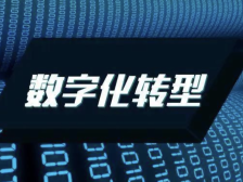 安林电子副总刘建发：设专职委员会“督促”数字化转型｜数智转型 冠军先行⑨