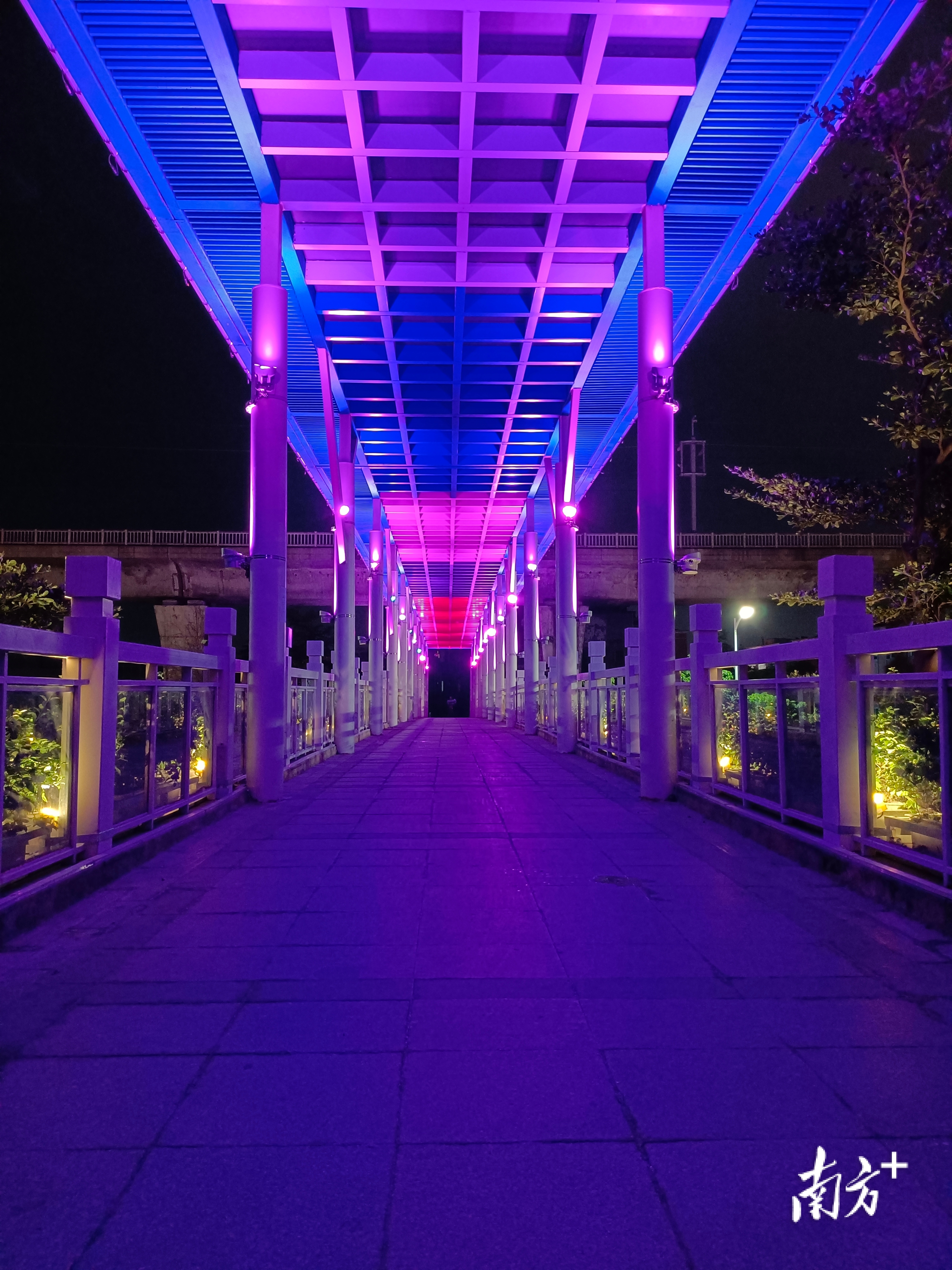 一条大道看尽水乡“新风景”