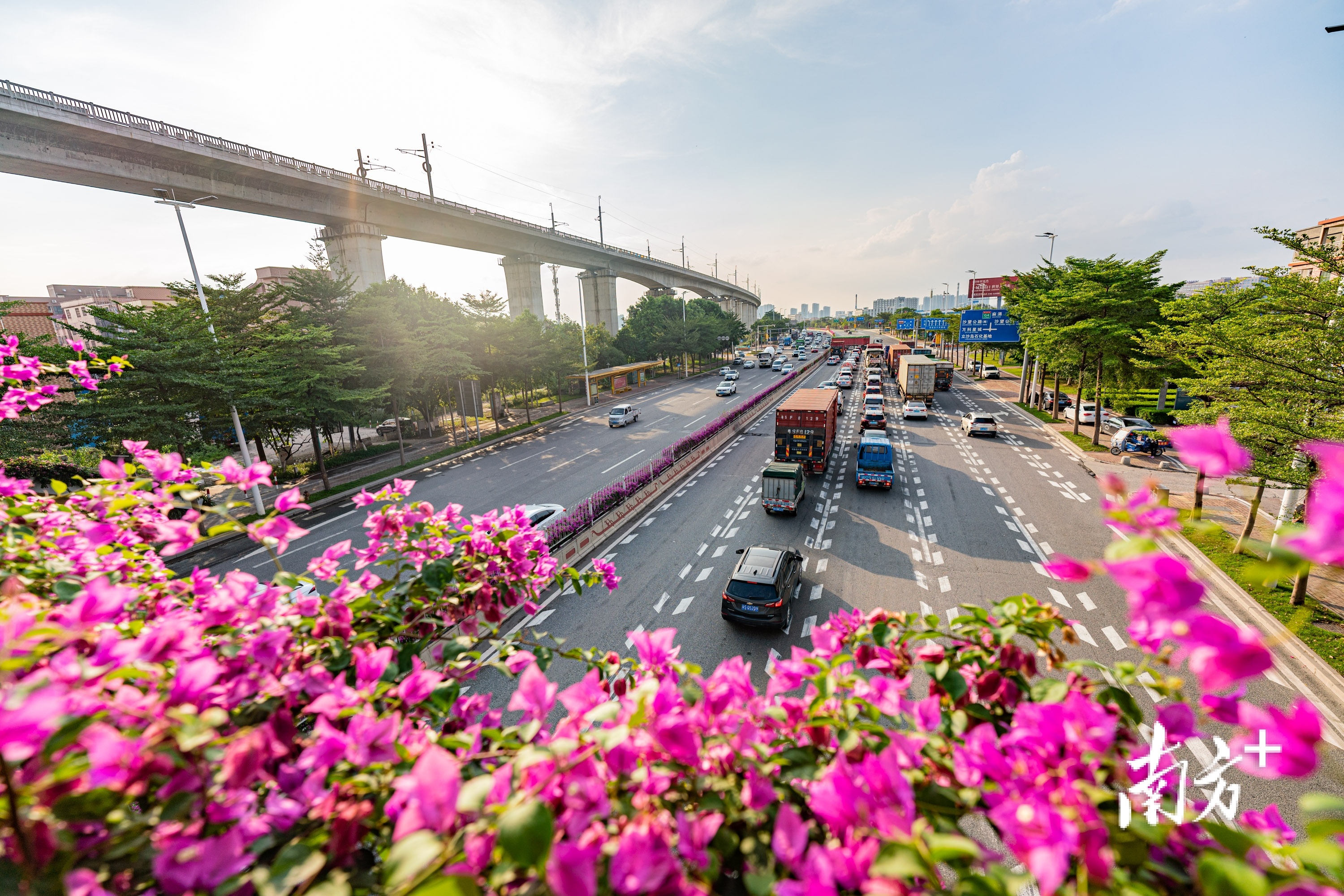一条大道看尽水乡“新风景”