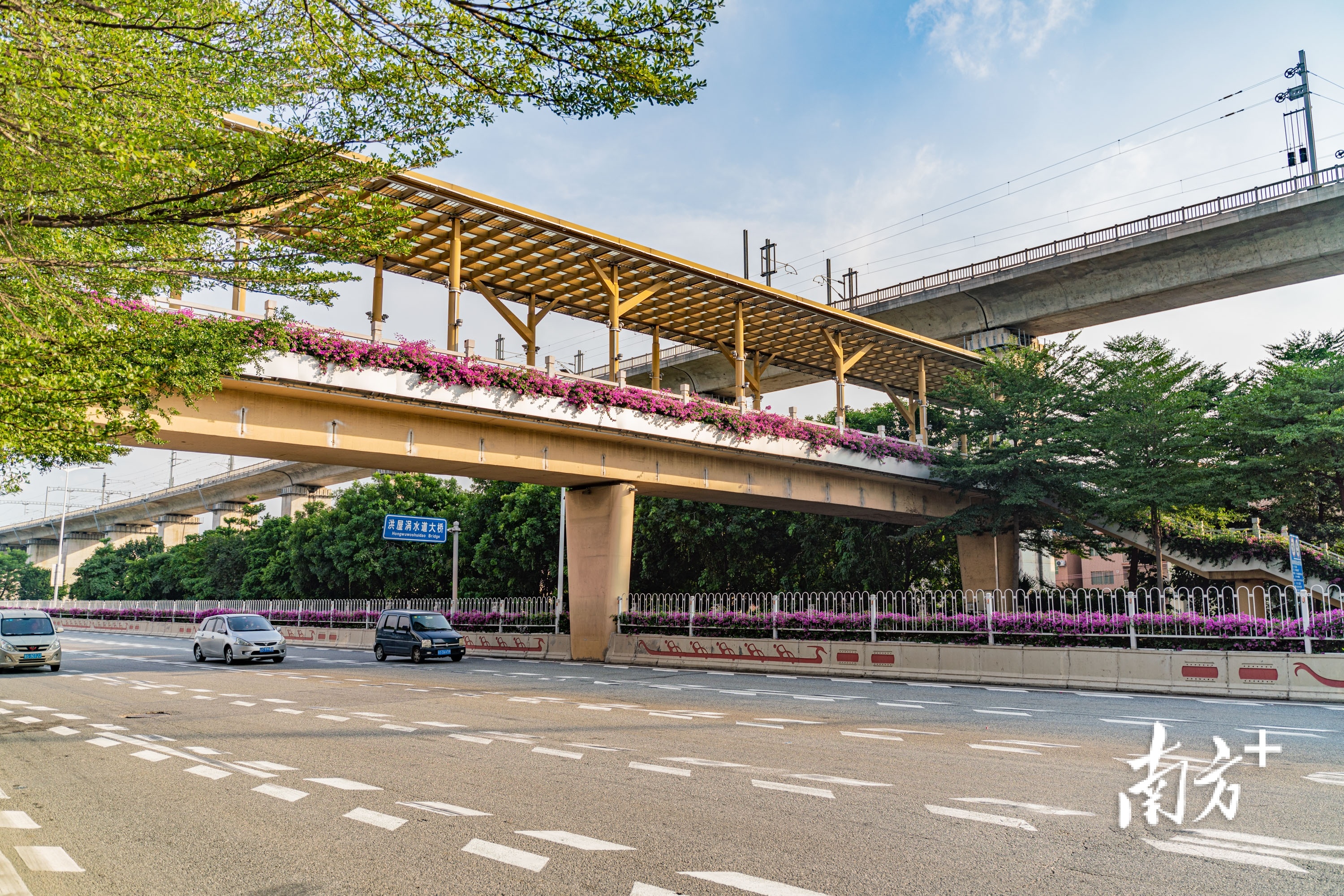 一条大道看尽水乡“新风景”