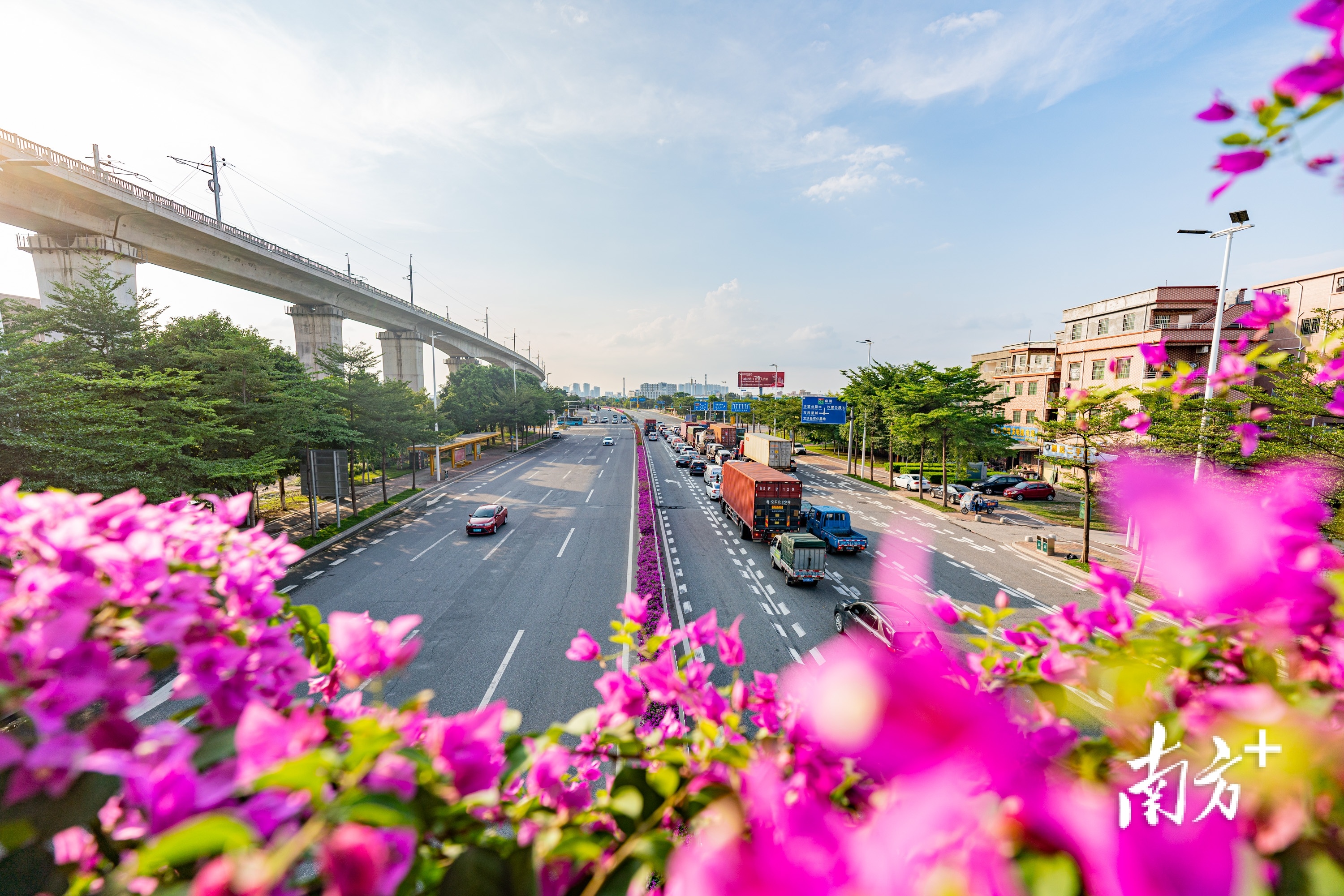 一条大道看尽水乡“新风景”