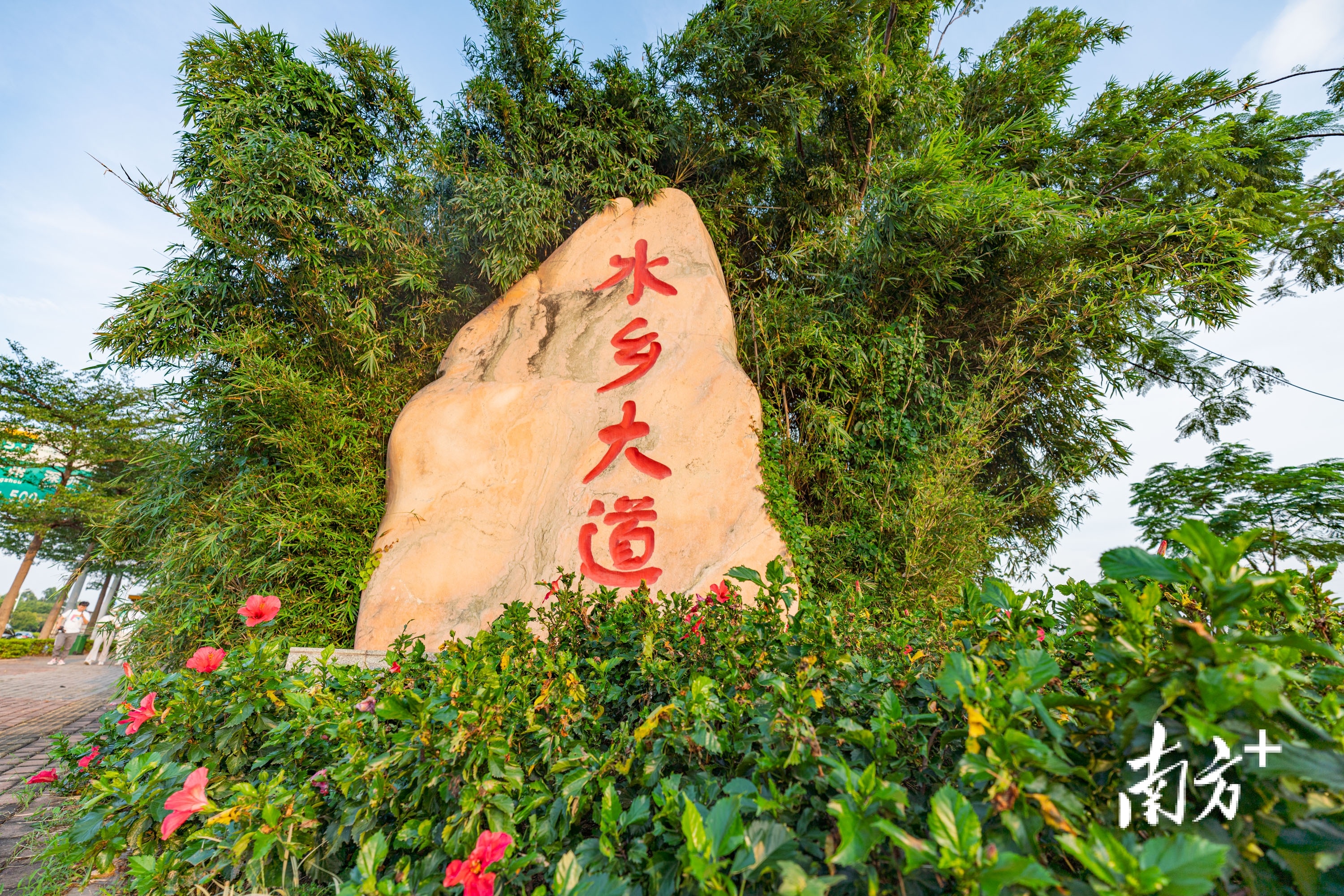 一条大道看尽水乡“新风景”